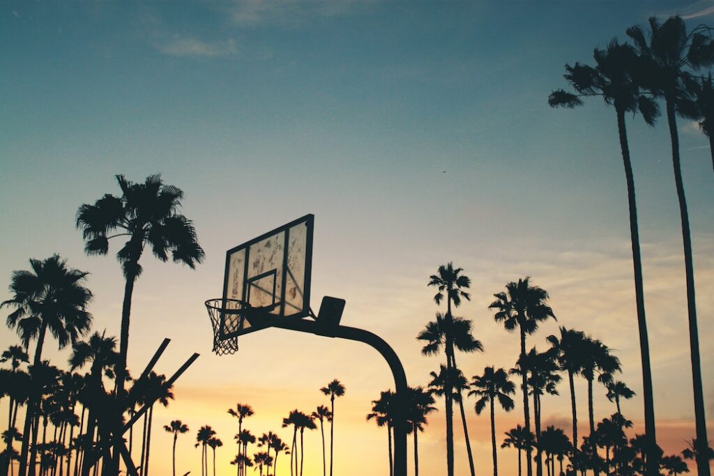panier basket LA