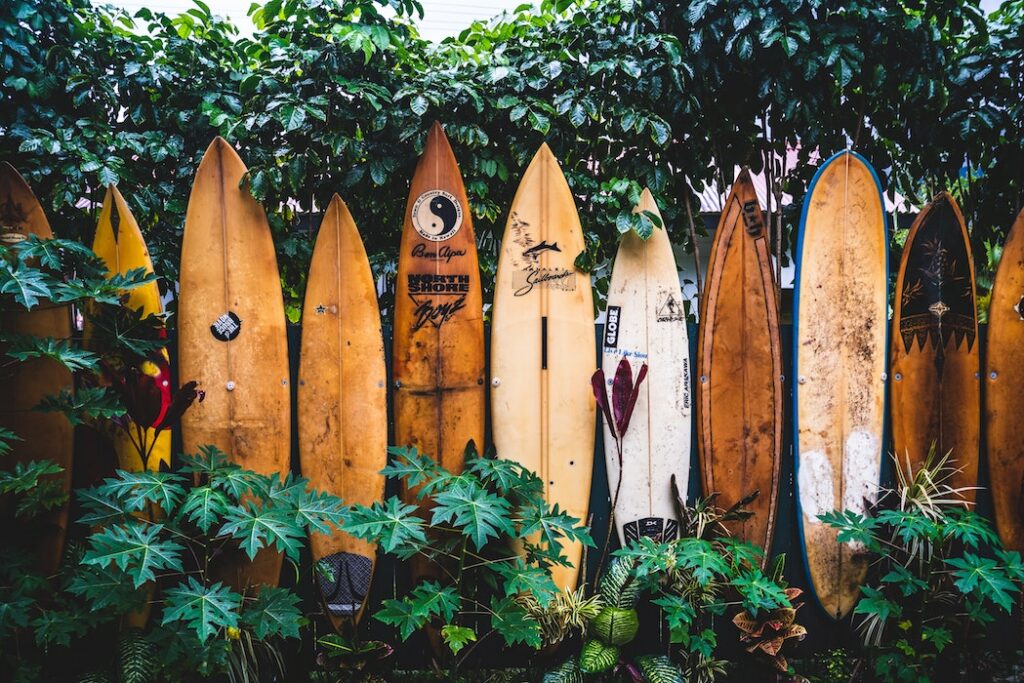 planche surf sport